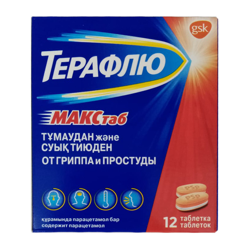 ТераФлю Макс №12 таб.